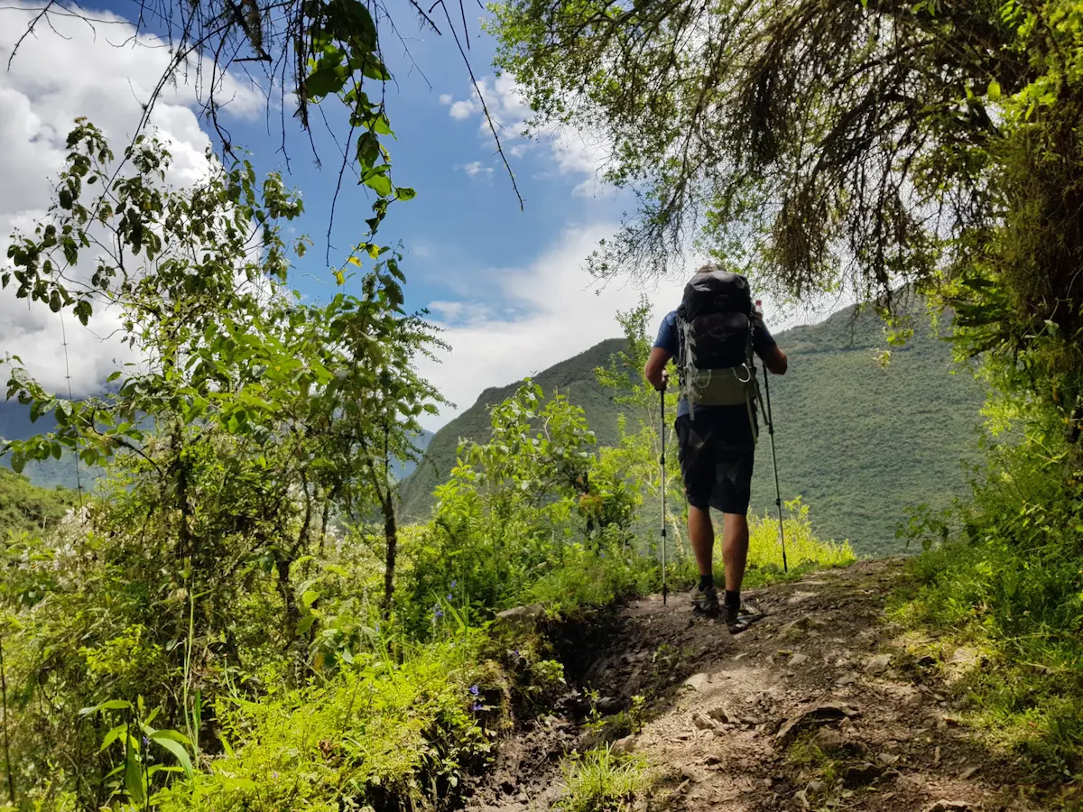 Hiker with a backpack and trekking poles walking a dirt path through green vegetation on the Inca Trail