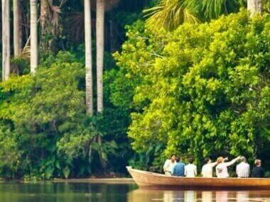 Experiencia en la selva amazónica del Perú rodeada de naturaleza y vida silvestre