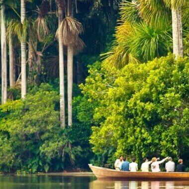 Experiencia en la selva amazónica del Perú rodeada de naturaleza y vida silvestre
